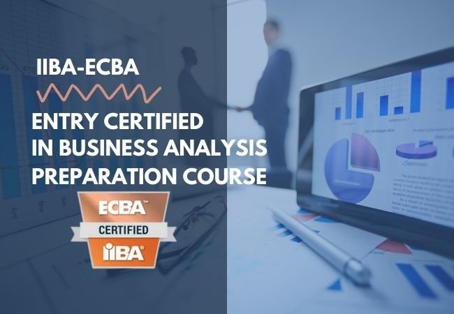 Professional Business Analysis Level I (IIBA-ECBA) offline