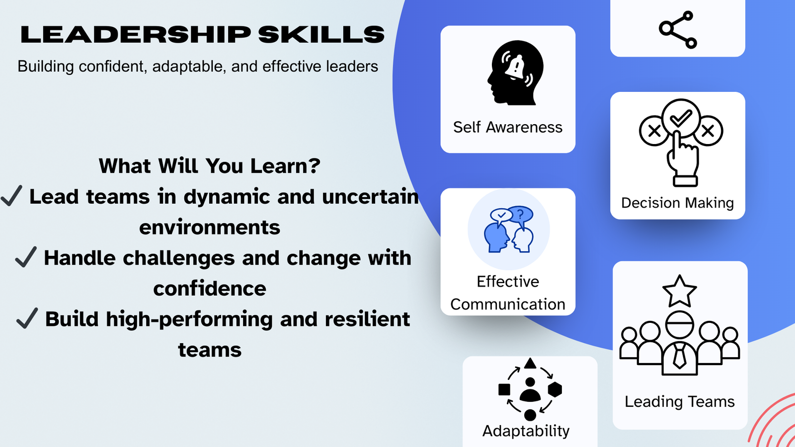 Professional Leadership Skills
