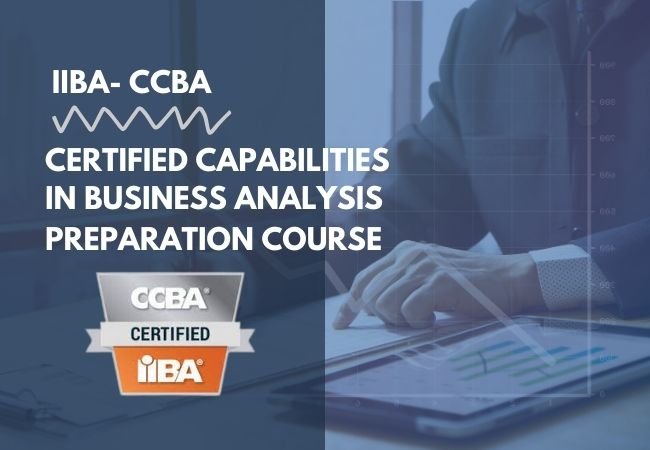 Professional Business Analysis Level II (IIBA-CCBA)