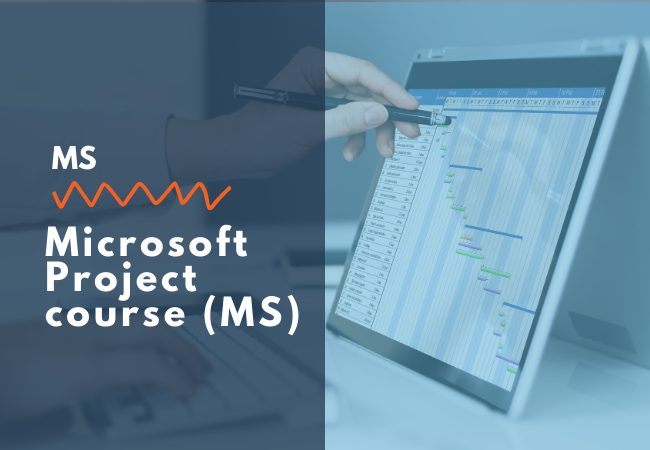 Microsoft Project course (MS)